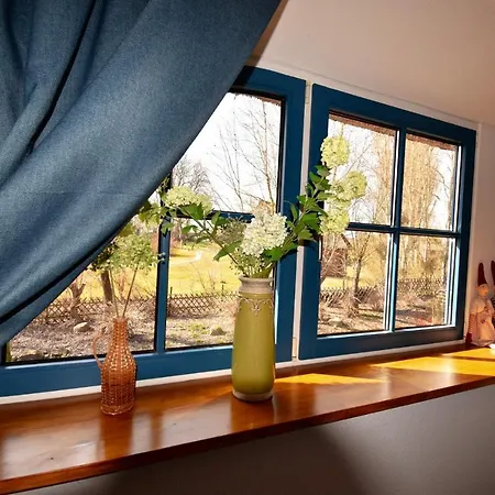 Reetdachhaus Holunder 2 Holiday home *