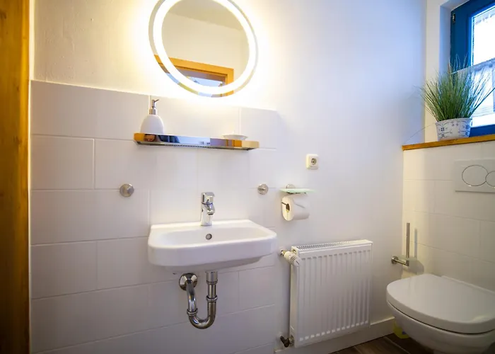 Reetdachhaus Holunder 2 * Puddemin