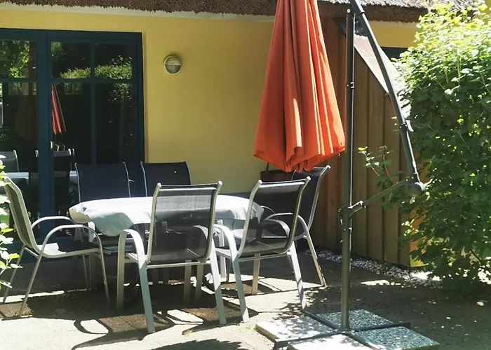 Reetdachhaus Holunder 2