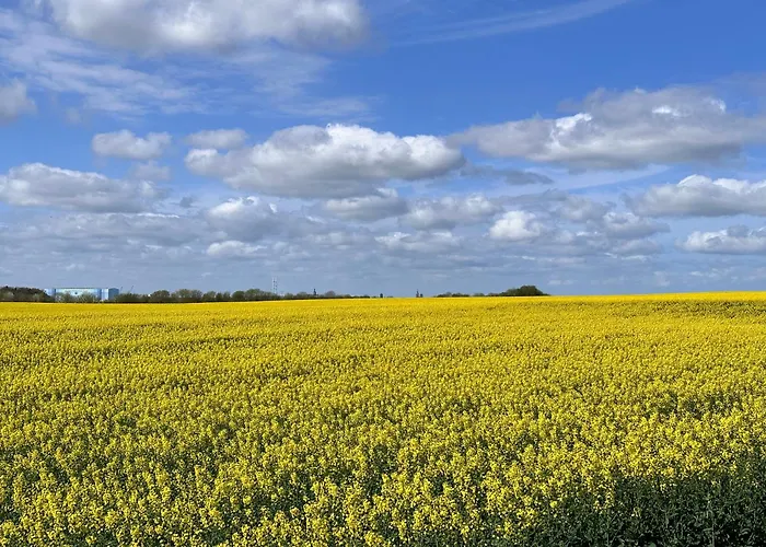 Reetdachhaus Holunder 2 Hébergement de vacances