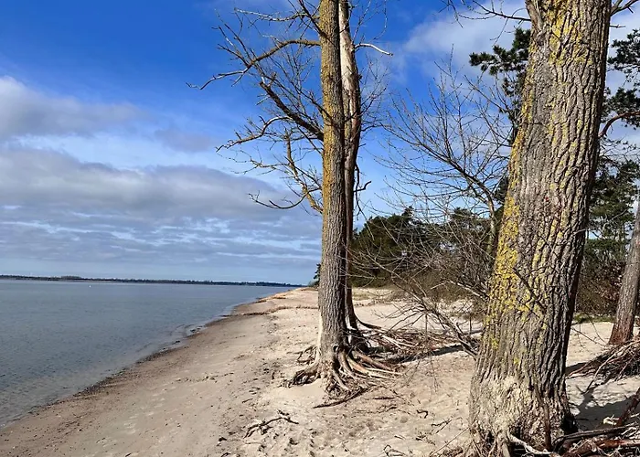 Hébergement de vacances Reetdachhaus Holunder 2 *